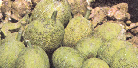fruit � pain