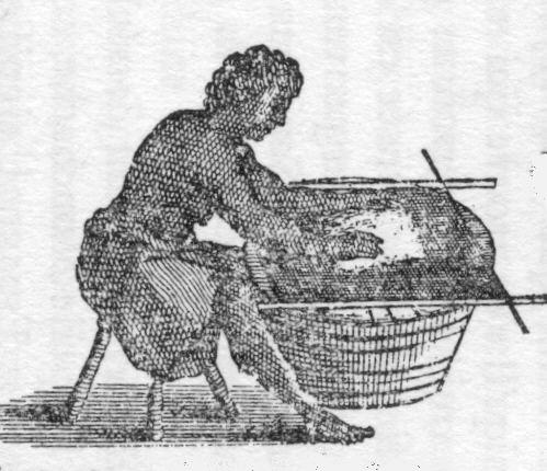 manioc
