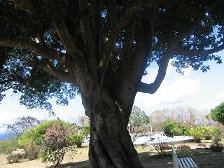 autour3