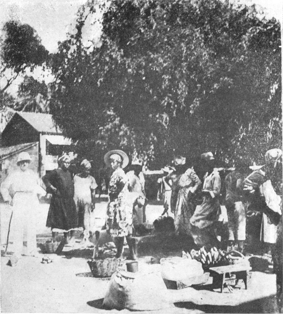 March� en plein air