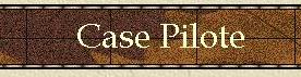 Case-Pilote1
